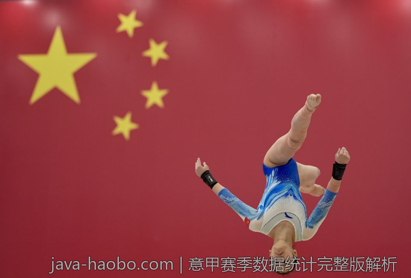 意甲赛季数据统计完整版解析