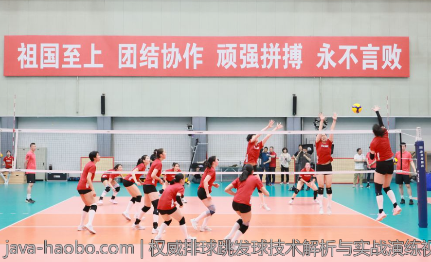 权威排球跳发球技术解析与实战演练视频