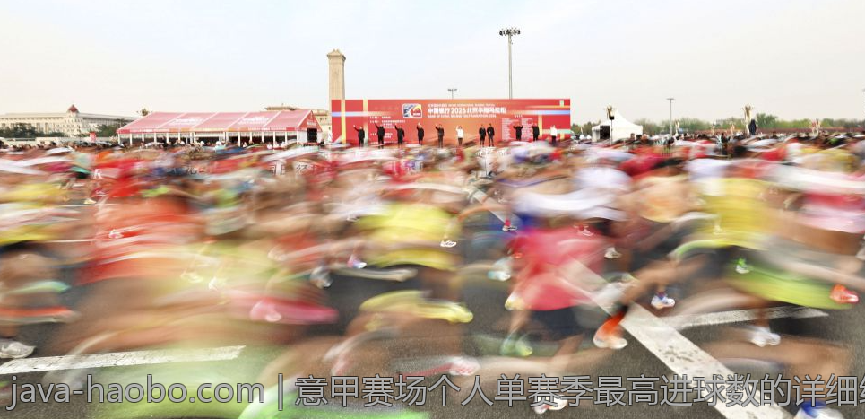 意甲赛场个人单赛季最高进球数的详细统计
