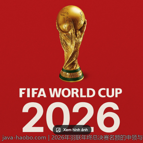 2026年羽联年终总决赛名额的申领与资格审核